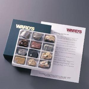 Ward's® Sedimentary Rock Collection
