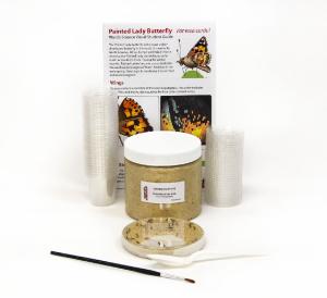 470227-450 – Large butterfly kit with premixed food