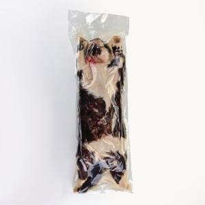 Preserved Cats