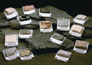 Introductory Rock Collection — Nature's Workshop Plus