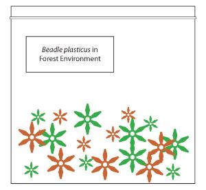 Science Take-Out® Beadle Plasticus Evolution