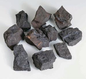 Ward's® Coal (Lignite)