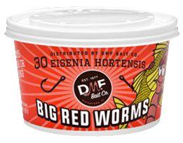 Red worms cup of 18
