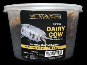 ReptiFauna dairy cow isopods