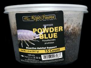 ReptiFauna powder blue isopods
