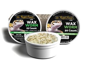 ReptiFeast waxworms