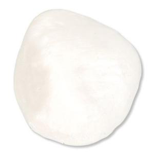 3B Scientific®  Patella