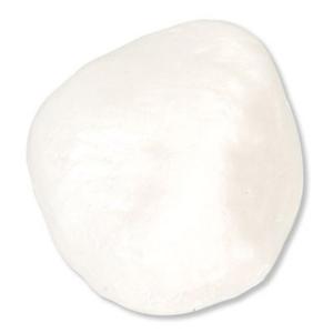 3B Scientific®  Patella
