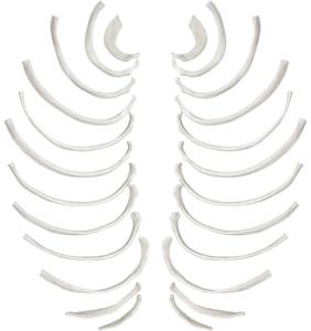 Eisco® Individual Bones, Axial