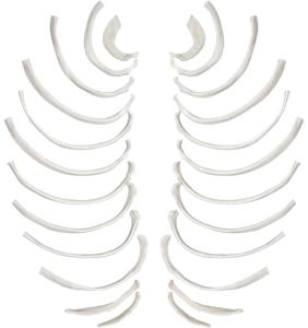 Eisco® Individual Bones, Axial