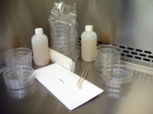 How Clean is your Lab Station? Microbiology Experiment Kit
