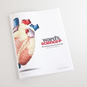 Ward's® Pure Preserved™ Hearts without Pericardium