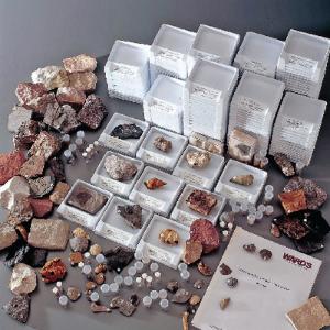 Ward's® College Stratigraphic Fossil Collection