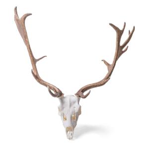 Red Deer Skull Male