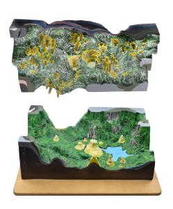 Karst, caves & water action landform model