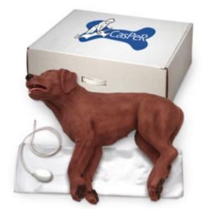 Nasco Healthcare® CasPeR The CPR Dog