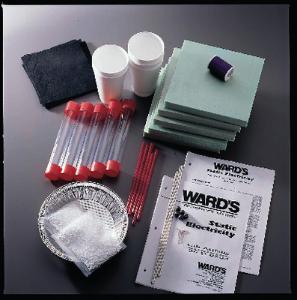 Ward's® Static Electricity Lab Activity