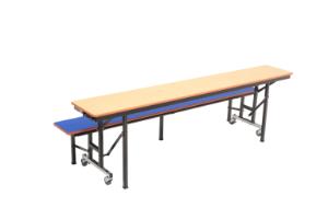 Convertible Benches