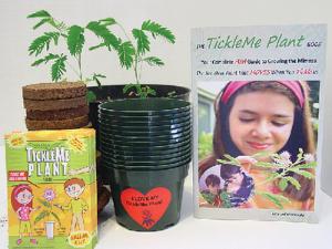 Tickleme Plants