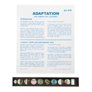Adaptation Microslide