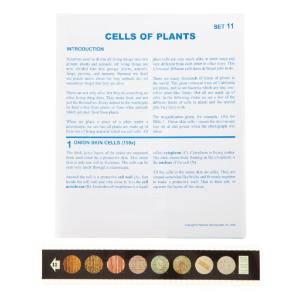 Cells of Plants Microslide