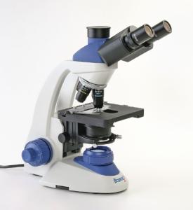 Microscope binoculaire