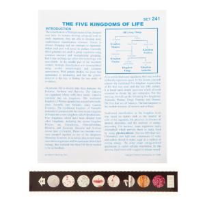 Five Kingdoms of Life Microslides