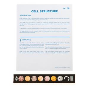 Cell Structure Microslide