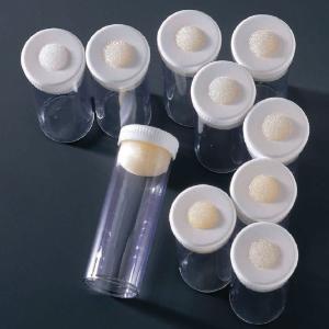 Ward's® Drosophila Vial Set