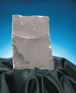 Ward's® Shale (Bituminous)