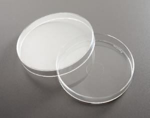 Polymethylpentene Petri Dish