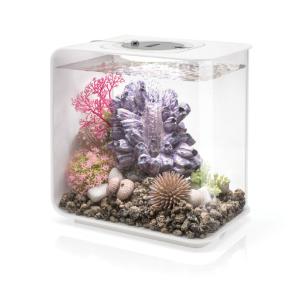 biOrb® FLOW Aquaria