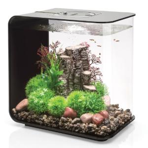 biOrb® FLOW Aquaria