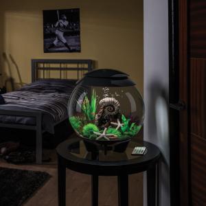 biOrb® HALO Aquaria