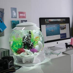 biOrb® HALO Aquaria