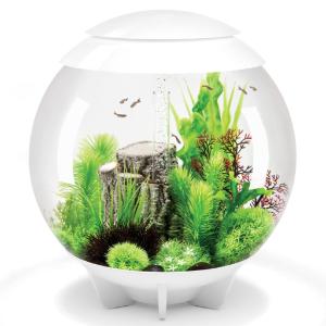 biOrb® HALO Aquaria