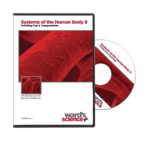 NewPath SYSTEMS OF BODY II Interactive Whiteboard Digital Download