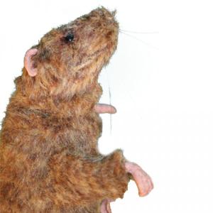 Rescue Critters® Squeekums Rat Manikin