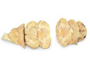 Sheep Brain with Tumors and Strokes