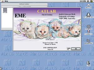 CatLab CD-ROM