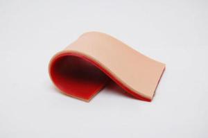 Advanced Tissue Insert