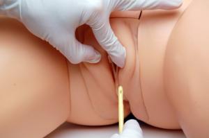 Cathi Catheterization Model 3 - All items in photo may not be included in purchase