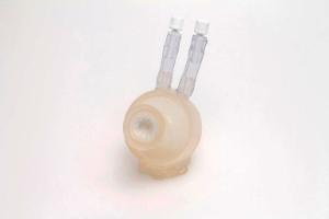 Cathi/Willi Bladder