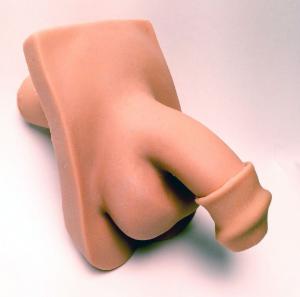 Willi Catheterization Model 2