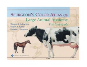 Surgeon's Color Atlas Of Large Animal Anatomy