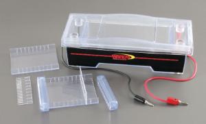 Ward's® Deluxe Electrophoresis Chamber