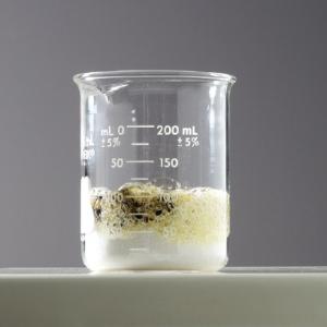 Ward's® Chemistry Dehydration of Sucrose Demonstration