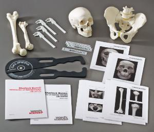 Department 56 Halloween Village Sherlock Bones Accessory Figurine New Skeleton