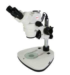 Trinocular Zoom Stereomicroscope