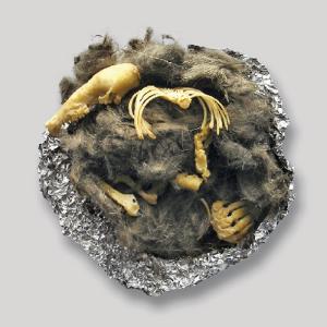 Owl Pellet Replica: Vole Skeleton (Perfect Pellet®)